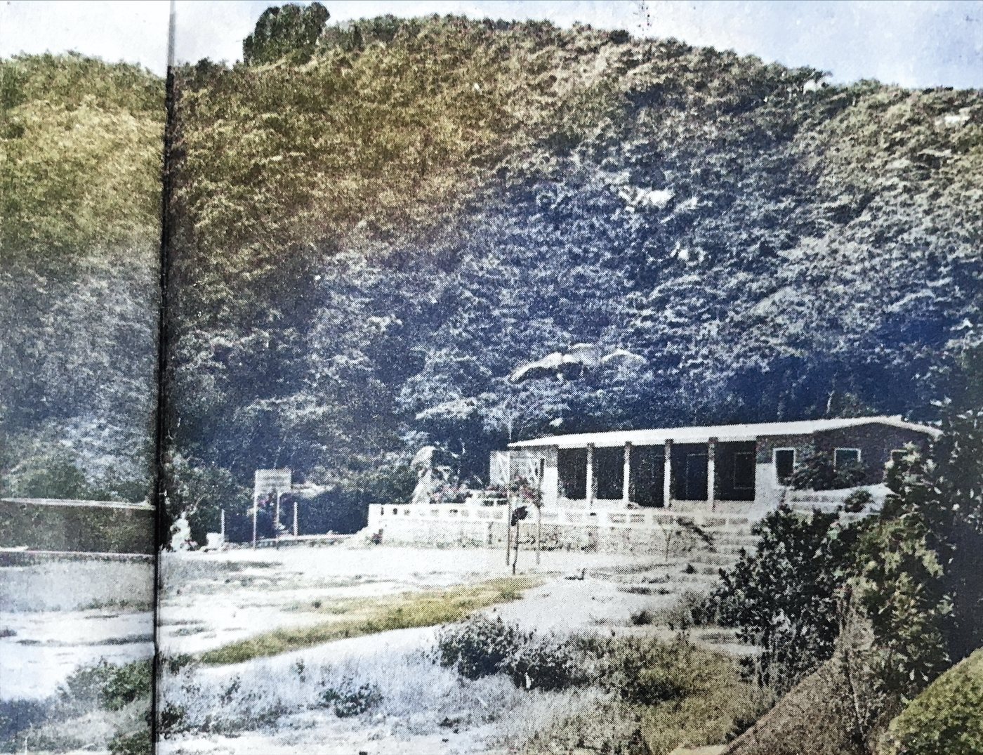 竹灣活動中心及山坡環境
